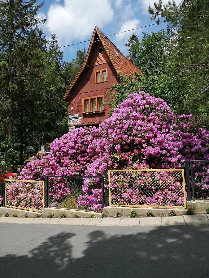 Hotel Willa W Dolinie Schreiberhau